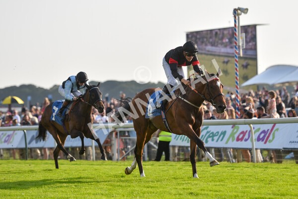 yr05092021r7-29 - Race 7 5.10pm Yorkshire Regiment Stakes