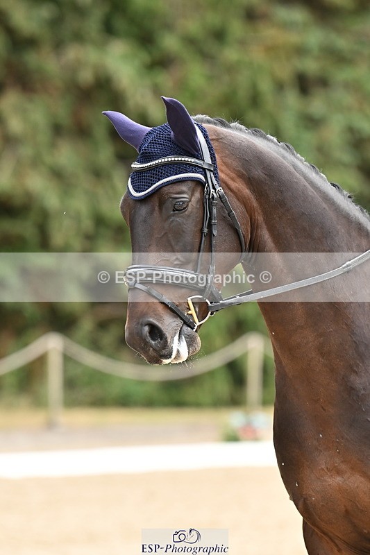 250808A-141203-00820 - 065-Jenny.Lo-VelPrince.T