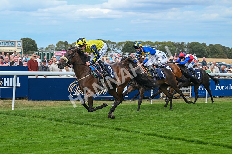 300825-Race 4-Lady Britain-1281 - Race 4