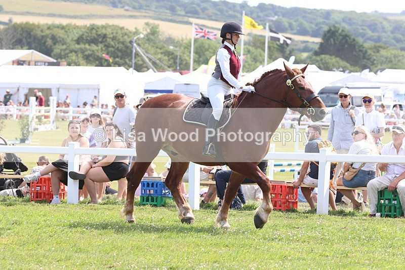 JPP_3499 - Class 15: Heavy Horse Ridden