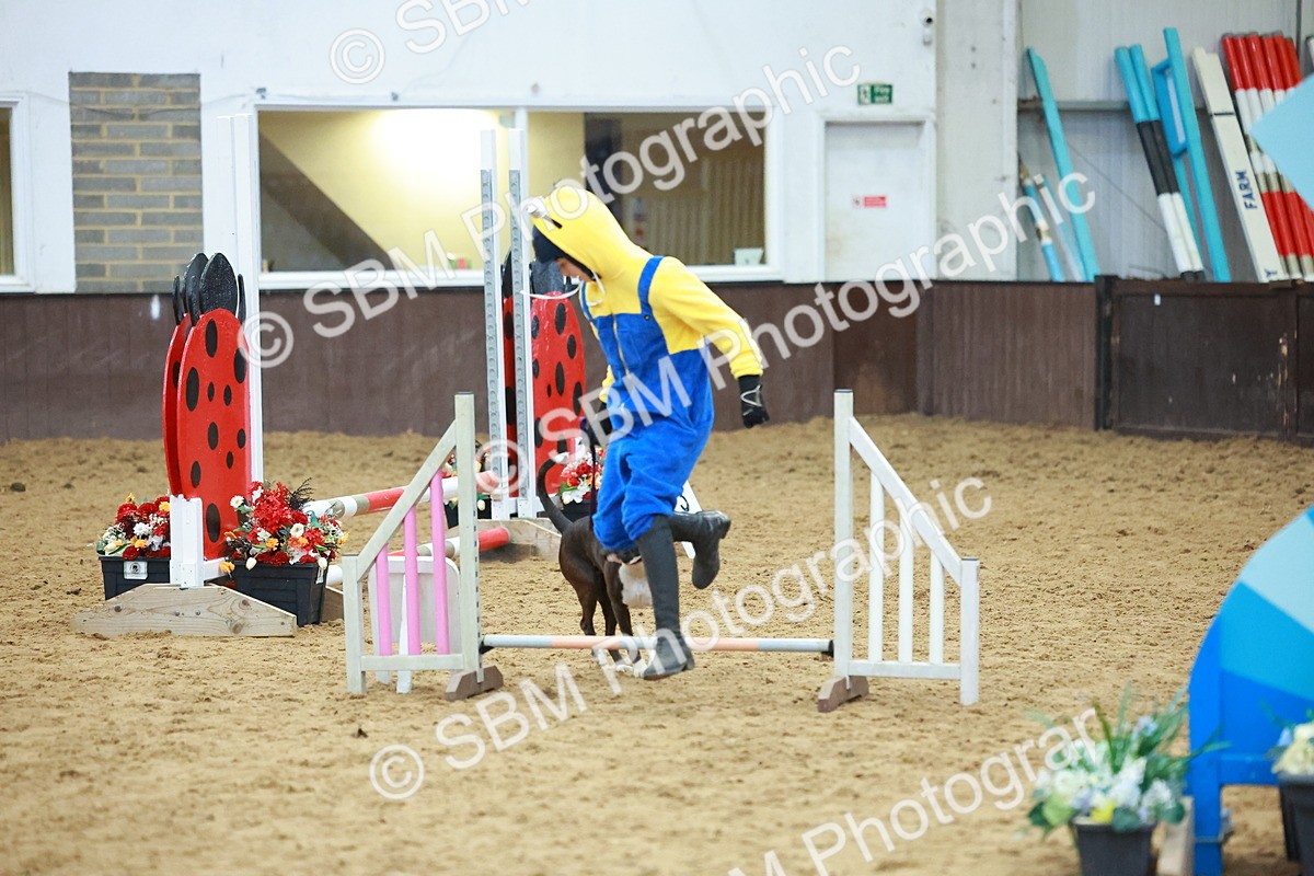 SBM_002233 - Class 3 - Horse & Hound (60cm)