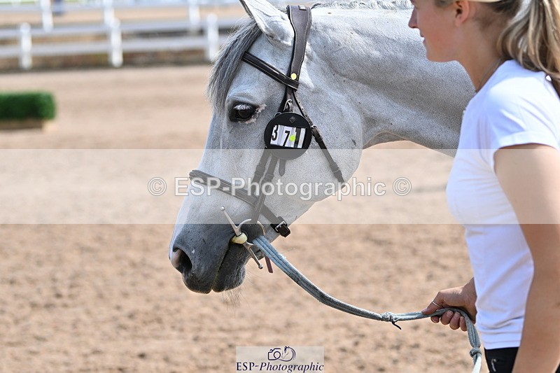 240717A-160218-03277 - Trot Up 4pm to 5pm