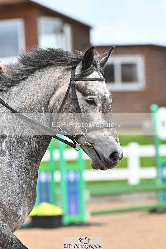 240723A-155928-00047 - 50cm and 60cm