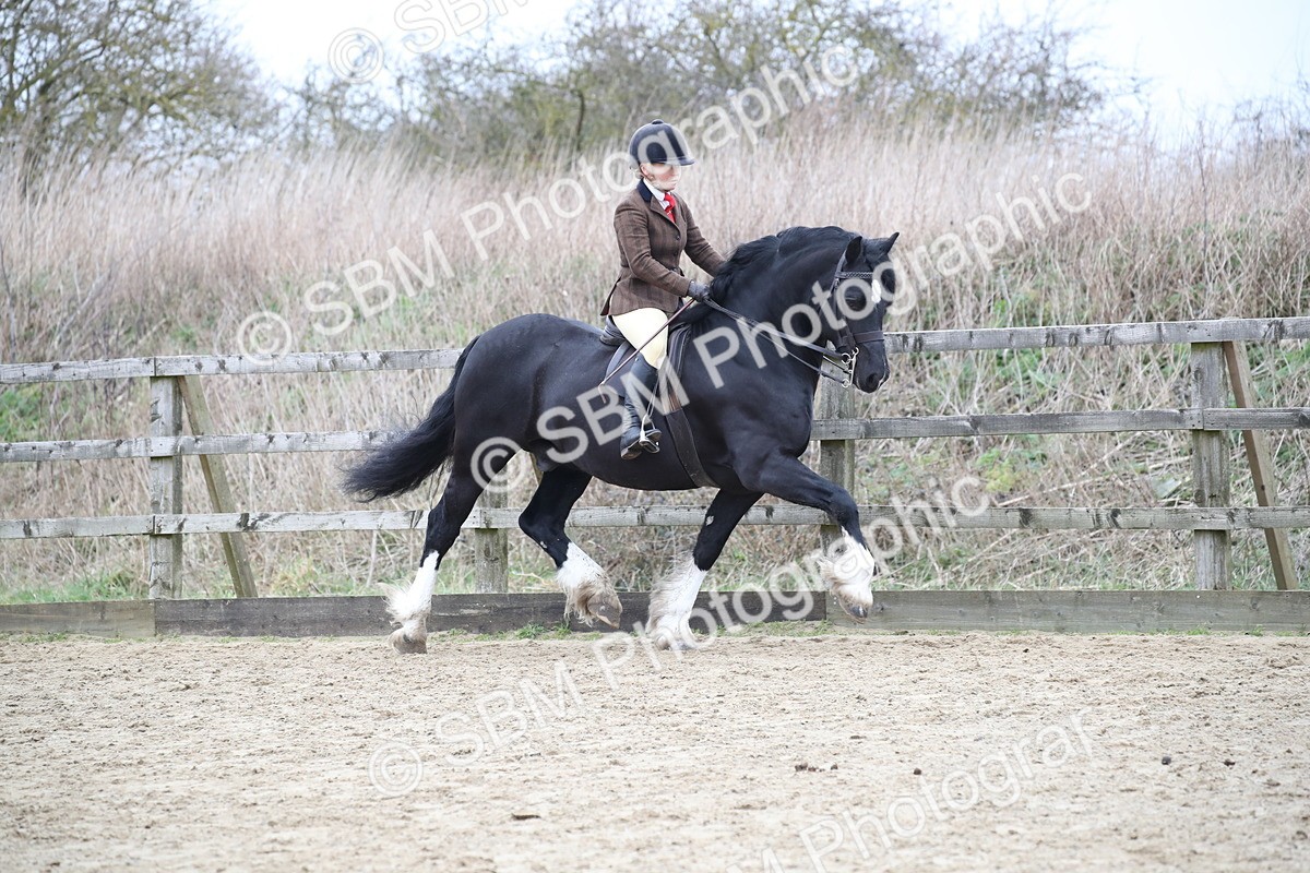 SBM_006329 - Class 10-13 - RIHS Small Large Breeds