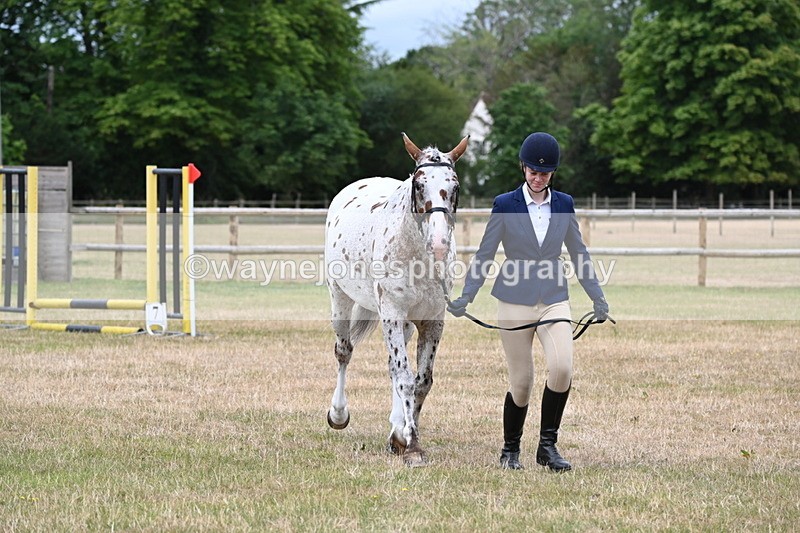 WJ6_4291 - Class 10 Coloured In-hand