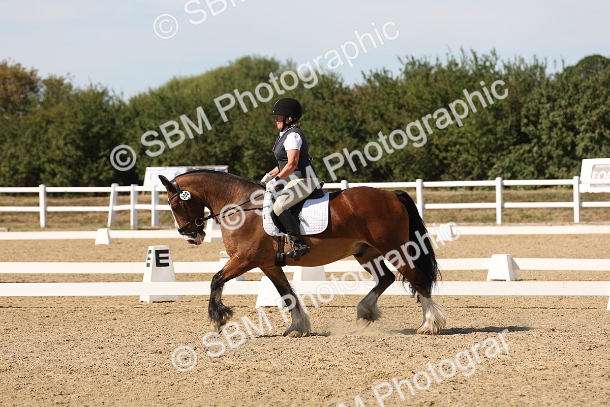 SBM_003785 - Elementary 4