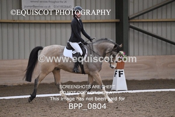 BPP_0804 - 7 - L MITCHELL