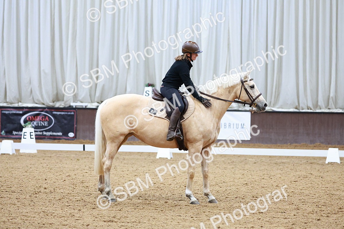 1I0A0650 - Class 3-6 - Prelim 1-Novice 2