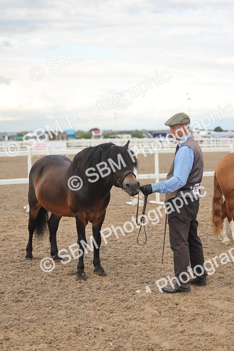 SBM_08538 - Class 29 - IH Veteran Pony