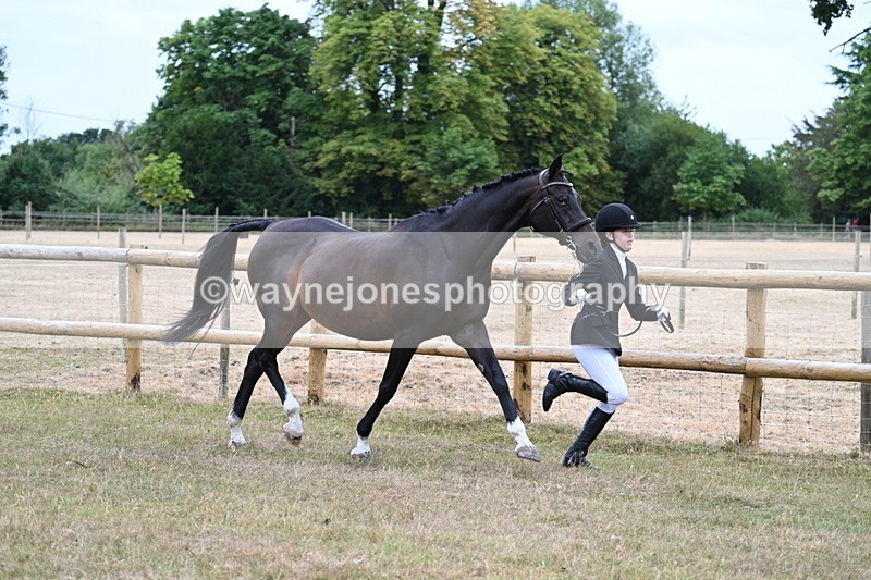 WJ7_8994 - Class 4a Prettiest Mare 14.2hh and over