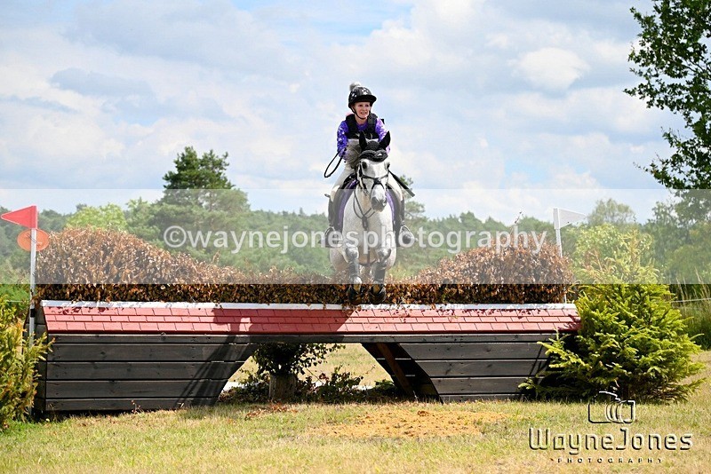 WJ6_6412 - Edited Examples