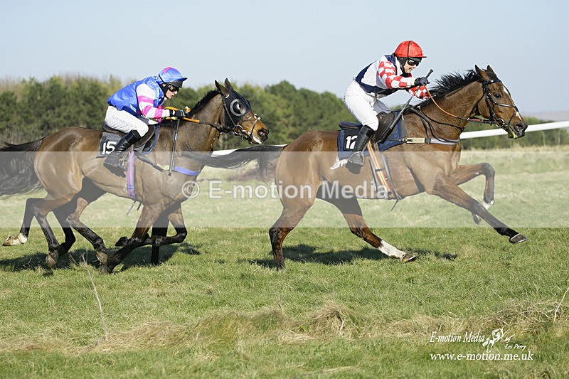 PtP 270222 233 - South & West Wilts Point-to-Point Larkhill 27/02/22