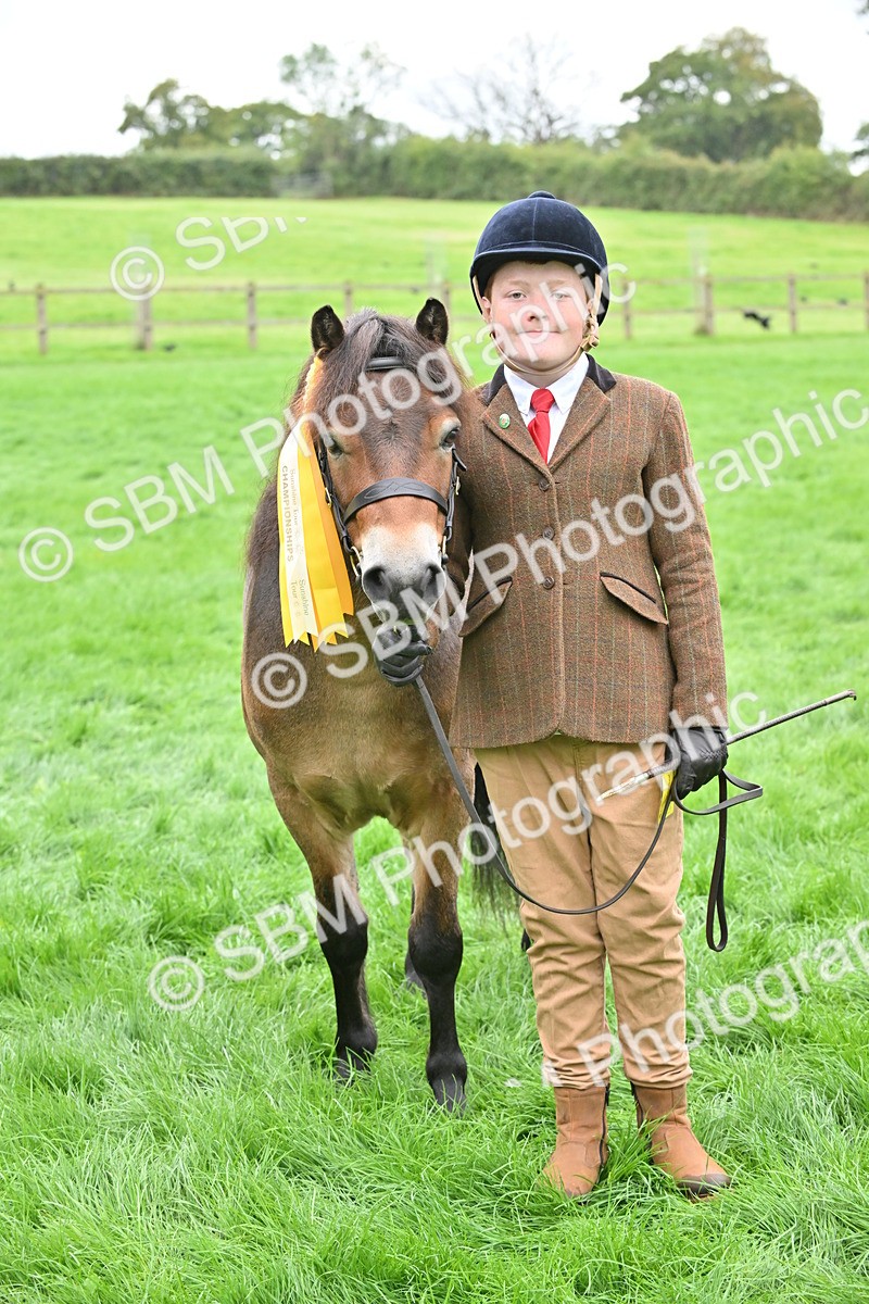 SBM_61051 - S48 - Mountain & Moorland In Hand Small Breeds