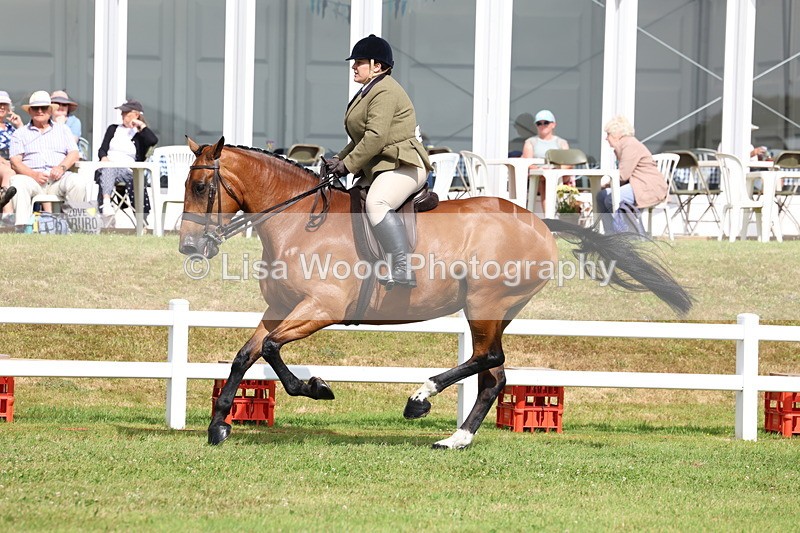 3E7A9446 - Class 4: Rising Star M/H Hunter