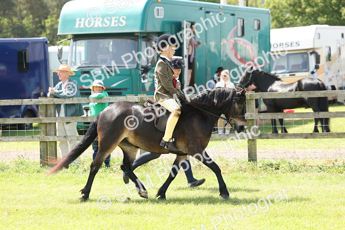 SBM_05297 - Class 24-25 - Mountain & Moorland In Hand Lead Rein and First Ridden