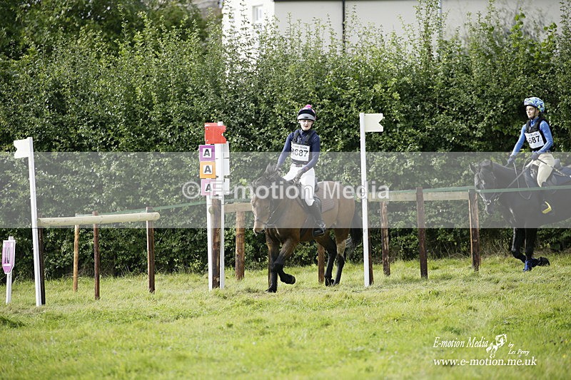  WWHT 031021 2353 - Novice Pairs (0.80m)  03/10/21