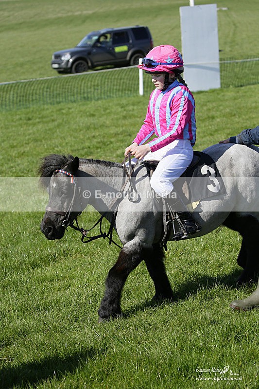 PtP 190322 67 - Wilton Hunt PtP Milborne St Andrew 19/03/22