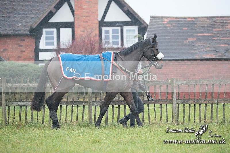 PtP 031223 17 - Wheatland Hunt PtP Chaddesley Races 03/12/23
