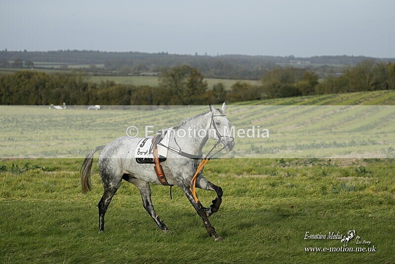 PtP 250921 01032 - Point-to-Point Badbury Rings Dorset 07/11/2021