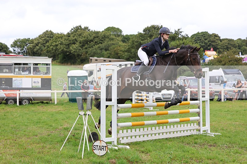 3E7A6998 - Class 5: Senior British Novice/90cm open