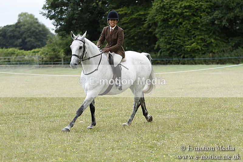 BVR160717-1728 - Ring 3 BVRC Show 16/07/17