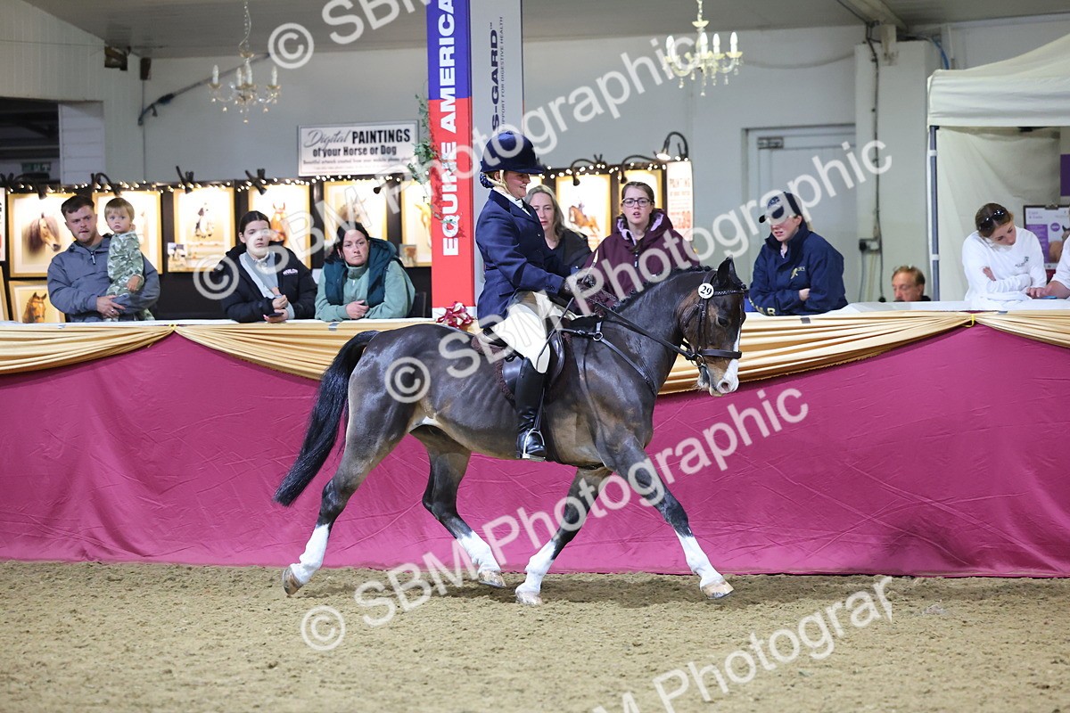 0B8A4686 - Class R Working Veteran Champ