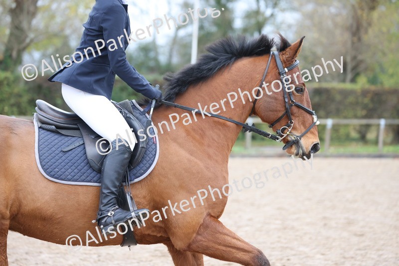 20251116-0280 - Class 2 - 70cm