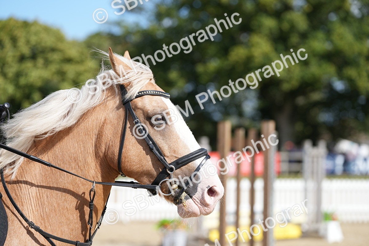 SBM_23823 - J50 - Open 60cm