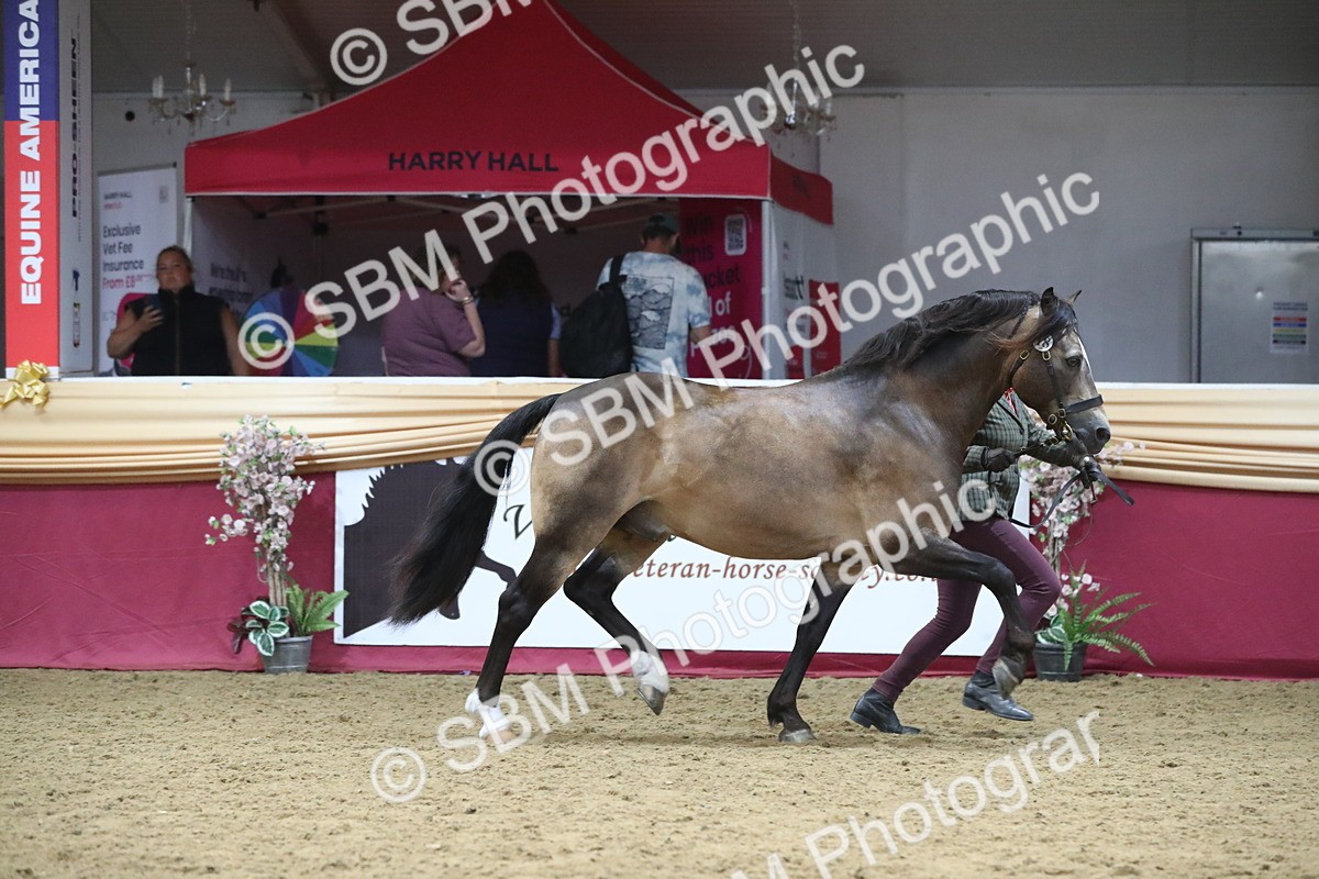 SBM_17175 - M&M Supreme Final Champ