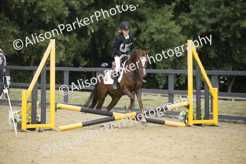 20250622-3694 - 50cm