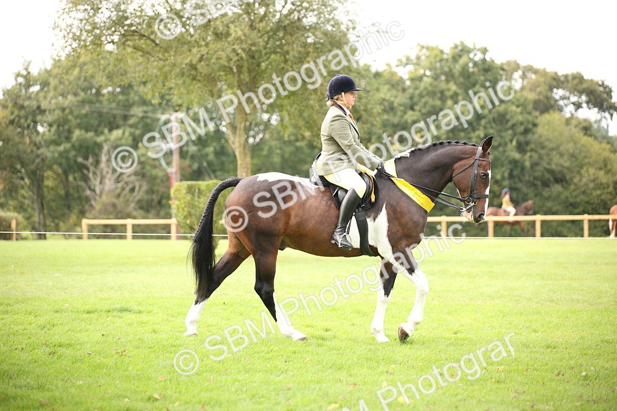 SBM_73609 - Ridden Horse Supreme Championship