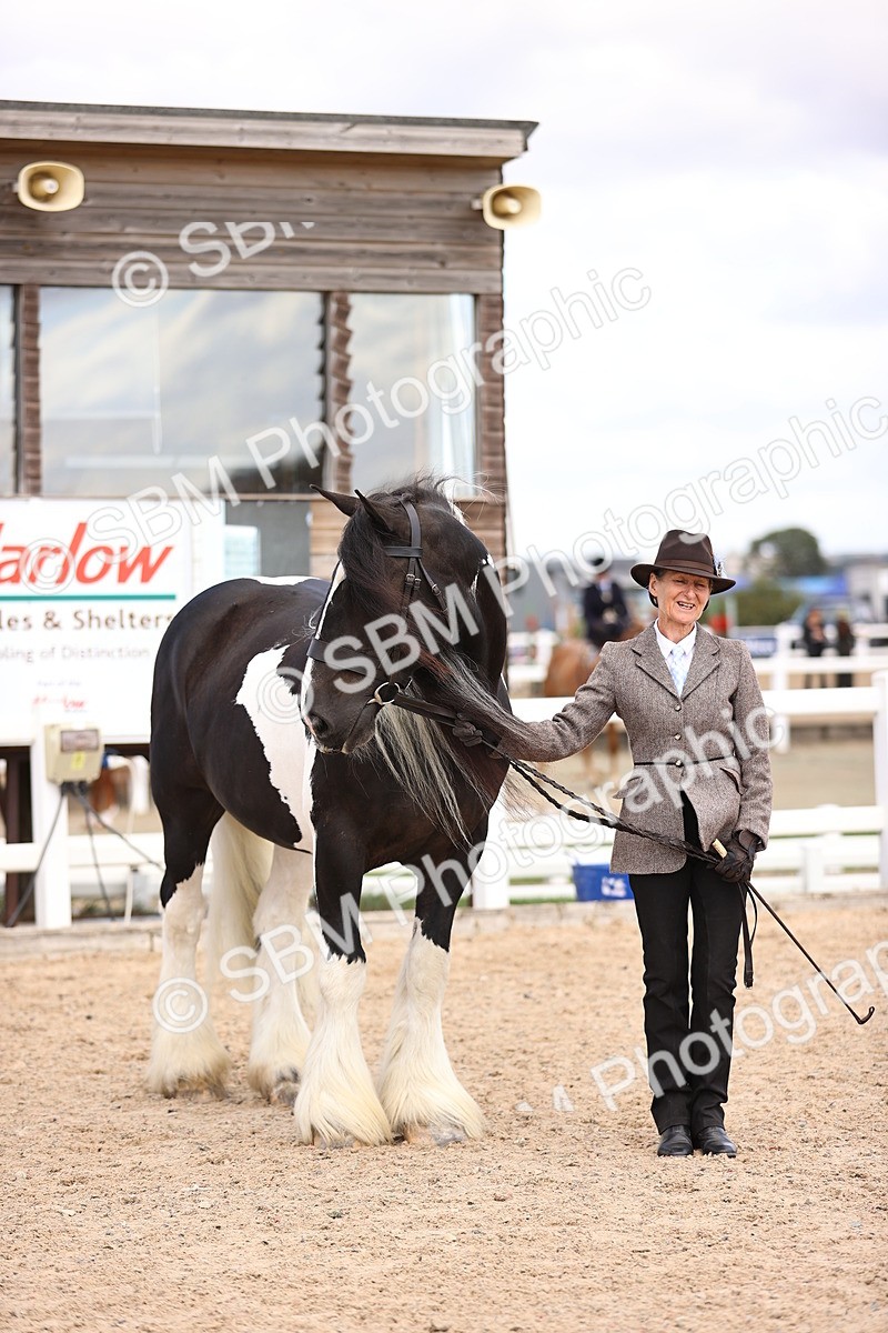 SBM_14508 - Class 414 - Best Maine and Tail - Adult