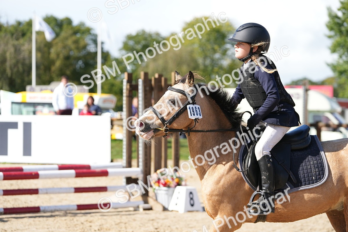 SBM_38366 - J6 - Junior Pony 55cm Championship