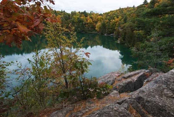  - Fall