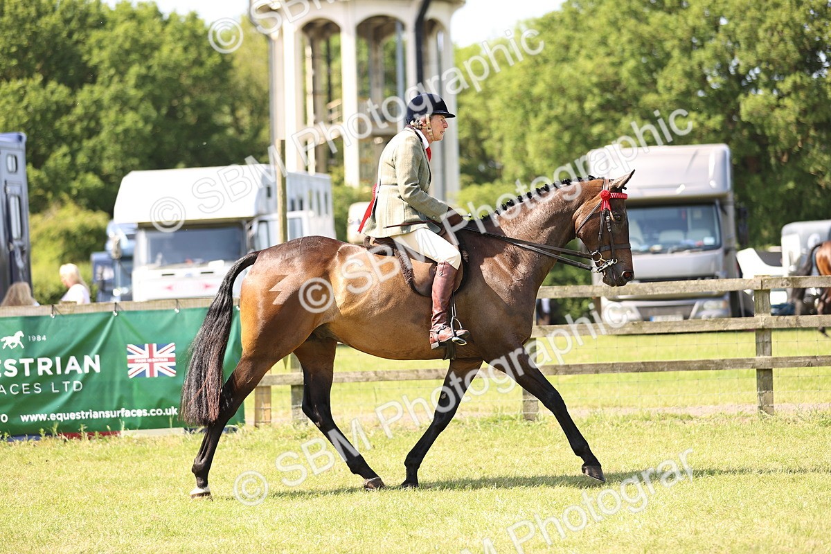 SBM_13089 - Class 75-76 LIHS BSHA Rising Star Hack Riding Horse