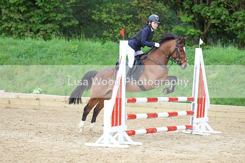 3E7A4963 - Class 12: Pony British Novice/80cm open