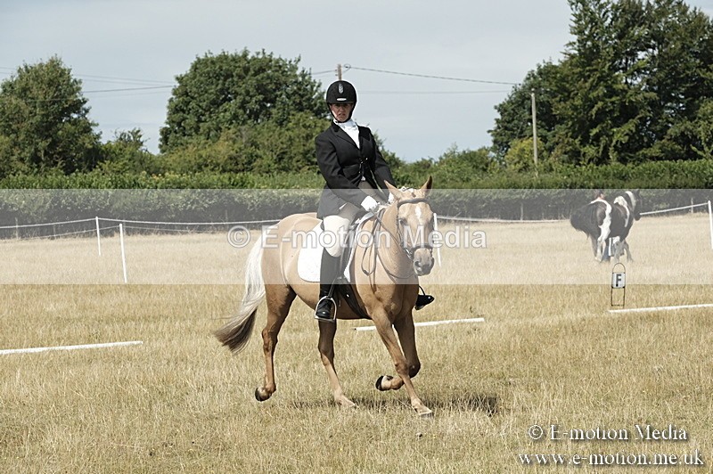 _PJP5804 - Dressage Classes BVRC Show 2018