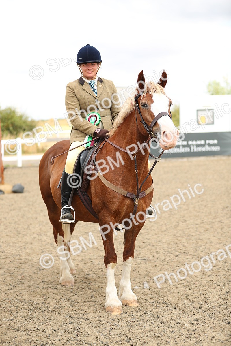 SBM_04806 - Class 46b Style & Performance 50cm (20+)