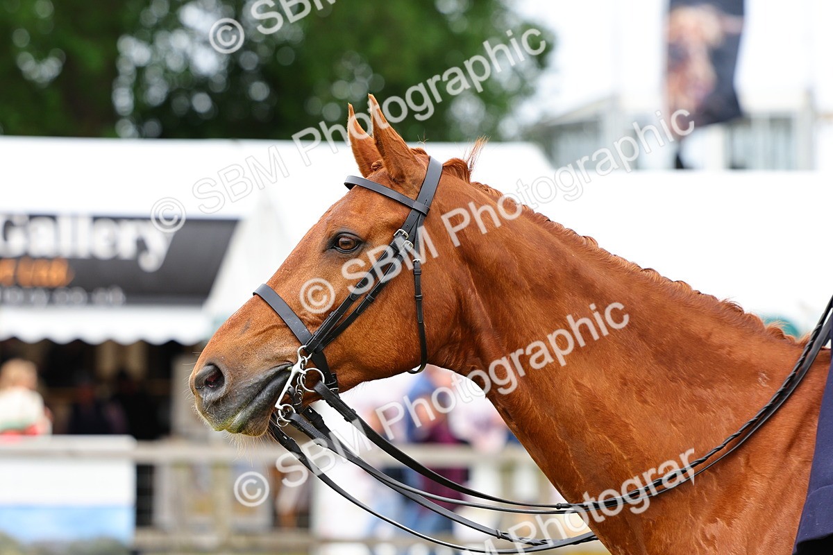 SBM_02957 - Class 9-11 Side Saddle including LIHS Rising Star Ladies Show Horse