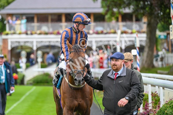 130724-Race 6-Zimmerman-7767 - Race 6 4.50pm John Smith's Stayers' Handicap