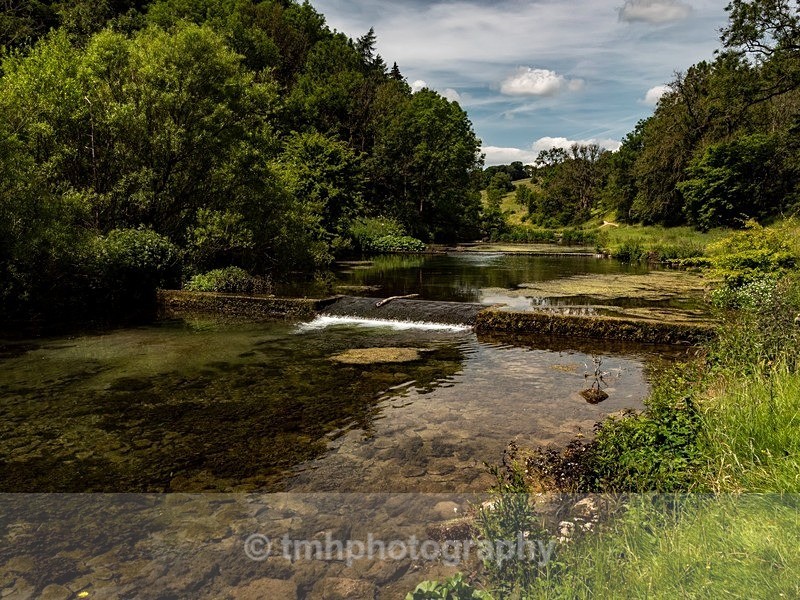 Summer - Landscape