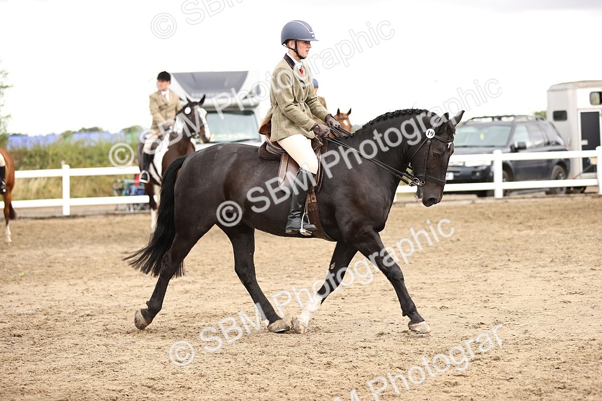 SBM_00654 - Class 53 - Ridden Competition Horse Pony