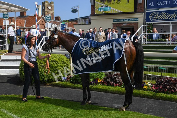 270523-Race 3-Chipstead-0299 - Race 3 2.40pm William Hill Epic Boost Handicap
