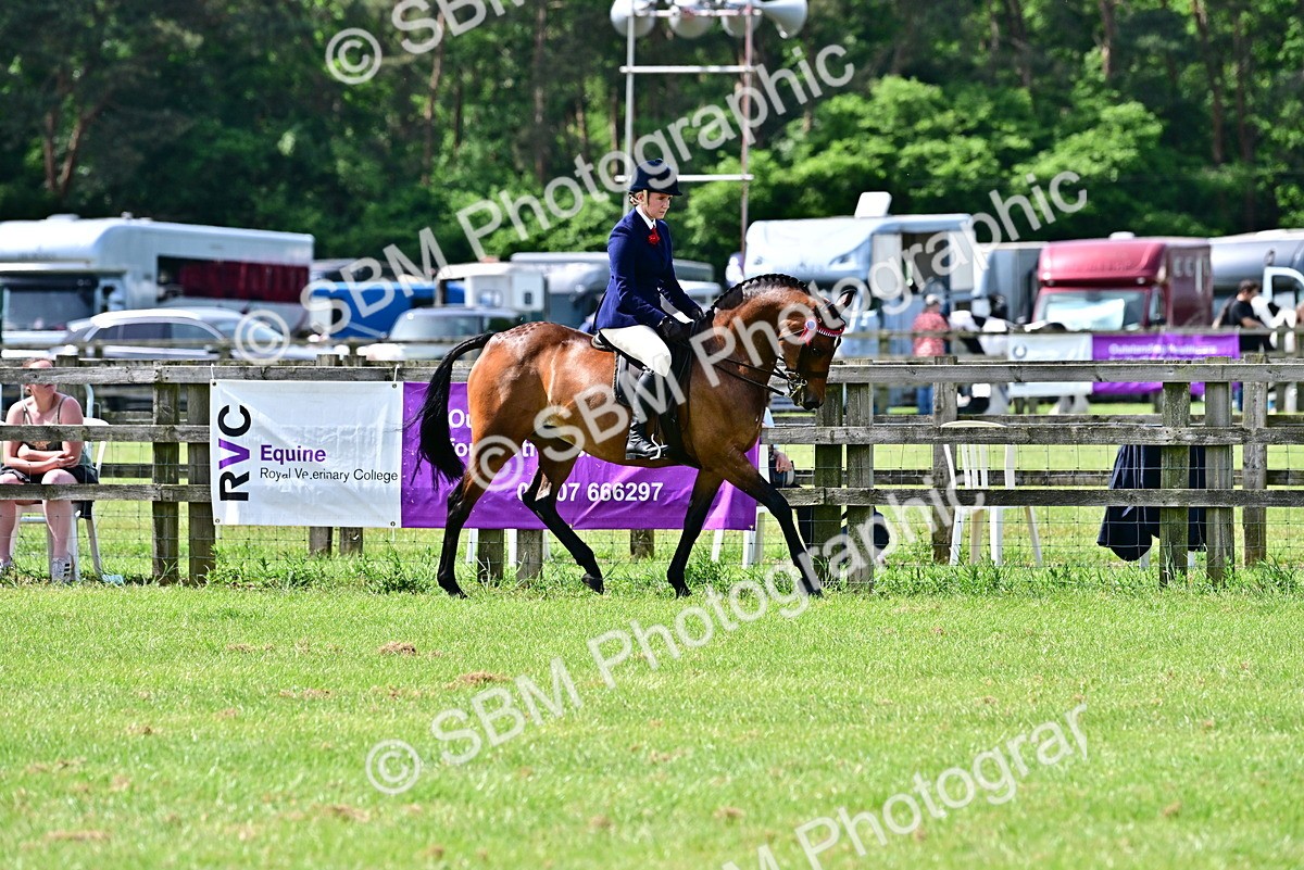 SBM_03779 - Class 58 - TSR  Ridden Veteran Amateur of the year