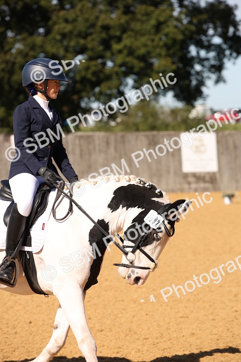 SBM_21651 - D5 - Small Tour Championship - Intro C
