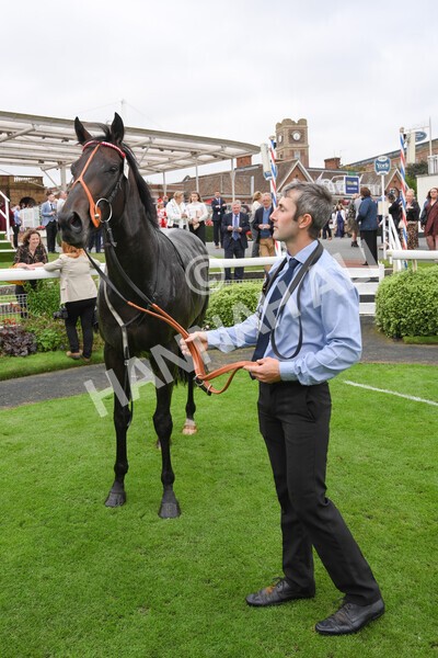 yr24092021r2-52 - Race 2 2.05pm William Hill Extra Places Races Stakes