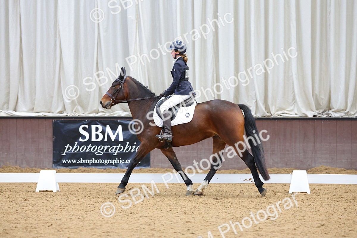SBM_003008 - Novice