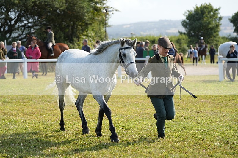 DSC05048 - Class 48: NPS M&M 2/3 year olds