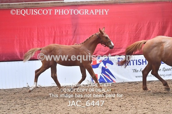 JAC_6447 - 19 Luca
