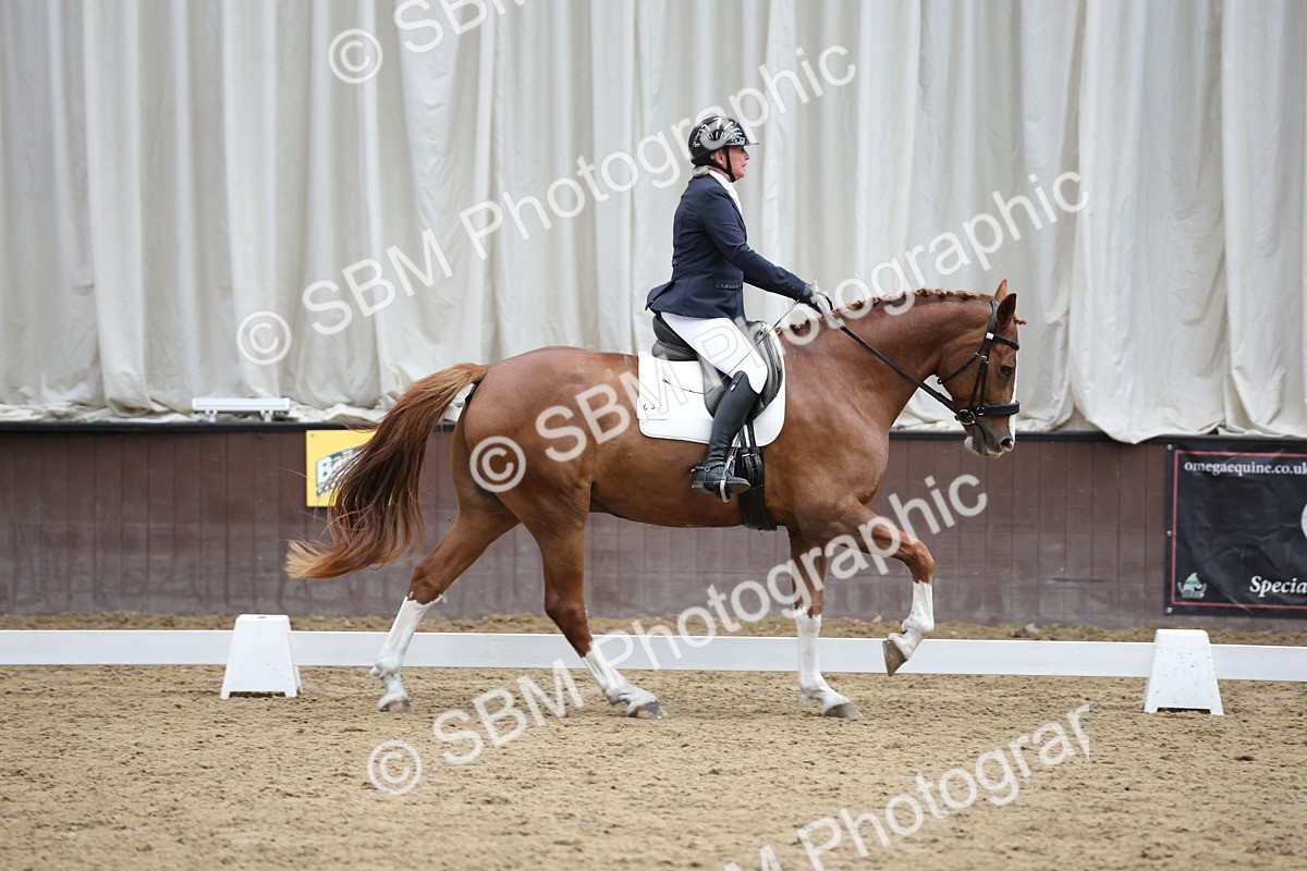 5K7A0243 - Novice 2